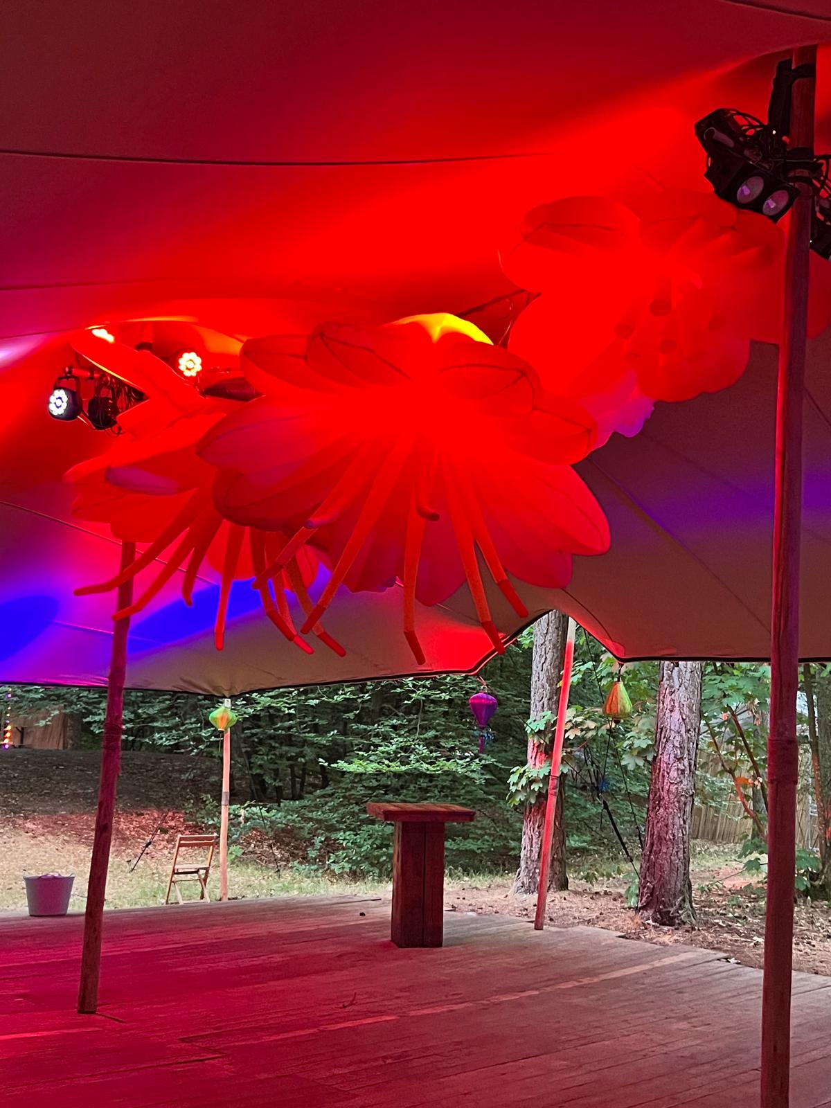 Magische Bosbruiloft met Sfeervolle Verlichting - Decor